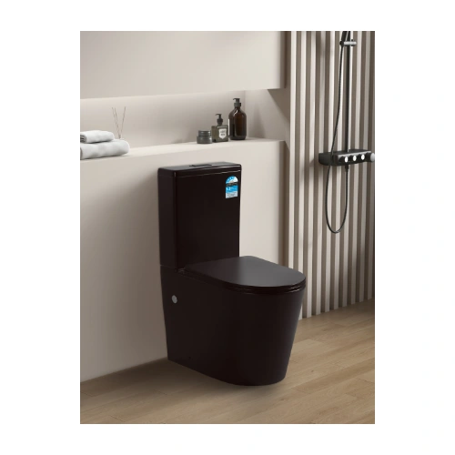 Poseidon Avis Rimless Toilet Matt Black