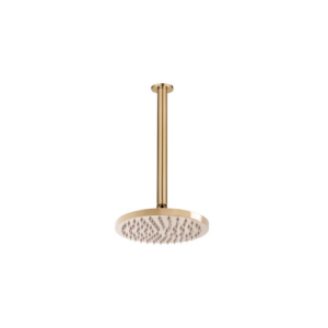 Adp Bloom Shower Rose 200mm and Shower Dropper 300mm Brushed Brass
