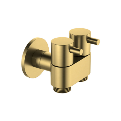 Amoza DN15 Dual Cistern Tap Brushed Gold