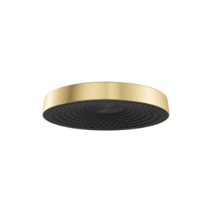 Fienza Kuro Shower Head Round Urban Brass