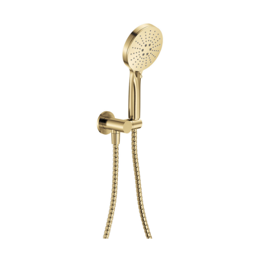 Fienza Empire Slim Hand Shower Round Plate Urban Brass