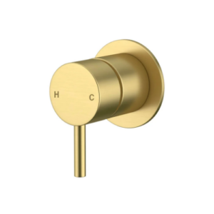 Amoza Wall Mixer 60mm Cover Plate Brushed Gold